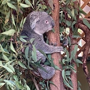 Meet your Posher, Drew